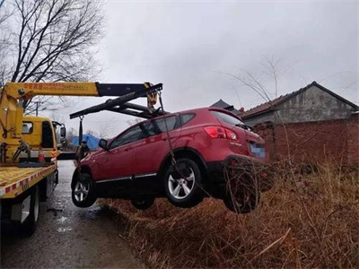 廉江楚雄道路救援